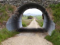 Otago Central Rail Trail (fietsen)