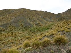 Lindis Pass en Mount