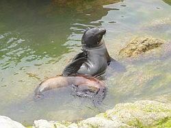 Kaikoura en Picton