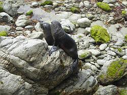 Kaikoura en Picton