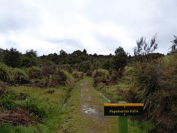 Waikaremoana Falls