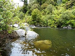 Waikaremoana Falls