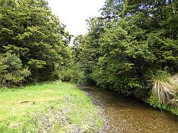 Lake Waikaremoana en Falls