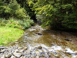 Lake Waikaremoana en Falls