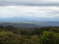 Waitomo Glowworm Caves