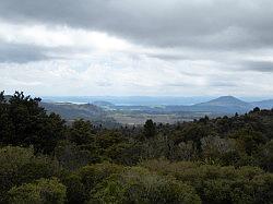 Waitomo Glowworm Caves