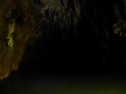 Waitomo Glowworm Caves