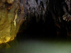 Waitomo Glowworm Caves