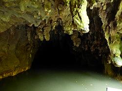 Waitomo Glowworm Caves