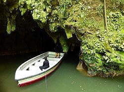 Waitomo Glowworm Caves