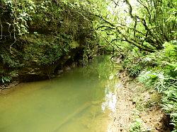 Waitomo Glowworm Caves