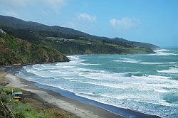 Raglan