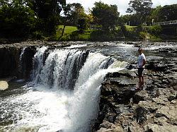 Haruru Falls