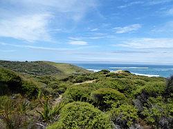 De ingang van Hokianga Harbour