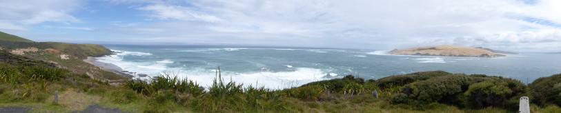 Onderweg naar Waipoua Forest