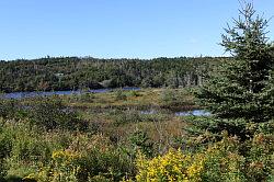 Zuidoost kust Nova Scotia