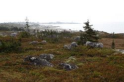 Peggys Cove