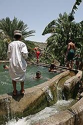 Misfah - het zwembad