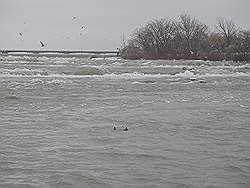 Niagara Falls in de winter