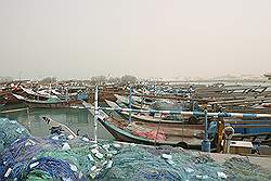 Al Khor - de vissershaven