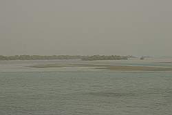Al Khor - ten noorden van Al Khor liggen eilanden met mangrove boompjes (slecht zicht vanwege zandstorm)