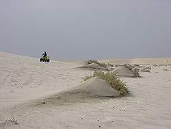 Rit door de woestijn met een quad