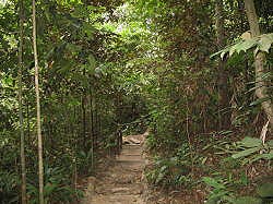 Singapore - Bukit Timah