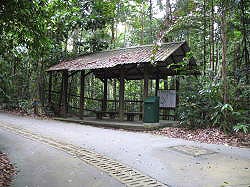 Singapore - Bukit Timah