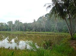 Pulau Ubin