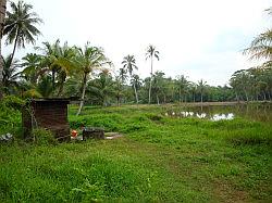 Pulau Ubin