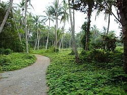 Pulau Ubin