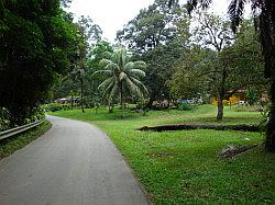 Pulau Ubin