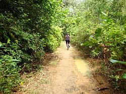 Pulau Ubin