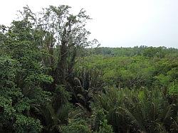 Pulau Ubin