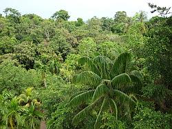 Pulau Ubin