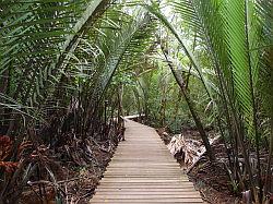 Pulau Ubin