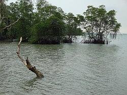 Pulau Ubin