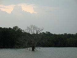 Pulau Ubin