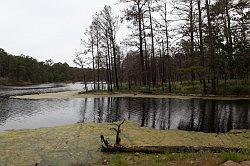 Bastrop en Buescher State Park