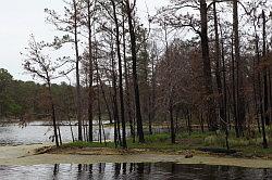 Bastrop en Buescher State Park