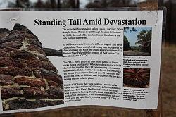 Bastrop en Buescher State Park