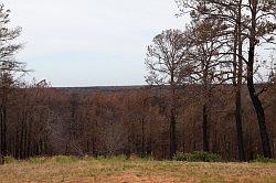 Bastrop en Buescher State Park