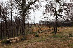 Bastrop en Buescher State Park