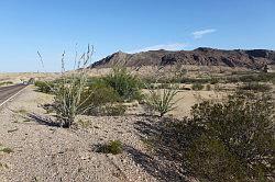 Big Bend National Park