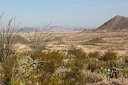 Big Bend National Park