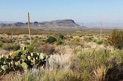 Big Bend National Park