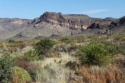 Big Bend National Park