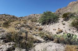 Big Bend National Park - lopen over het pad naar Boquillas Canyon