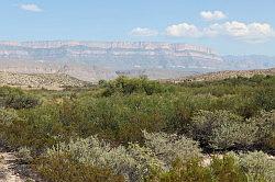 Big Bend National Park