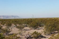 Big Bend National Park